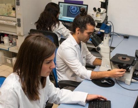 El desarrollo de proyectos de I+D sigue siendo una de las señas de identidad de la compañía gaditana, especialmente en investigación aeronáutico.