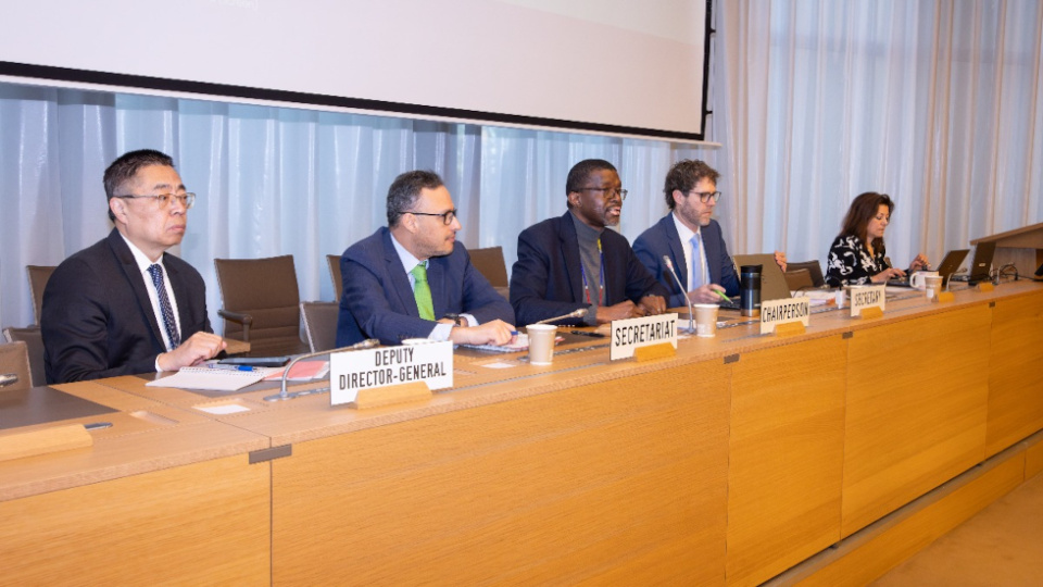 La OMC aprueba un proyecto de decisi&oacute;n para integrar a las peque&ntilde;as econom&iacute;as en el comercio digital ante la CM14