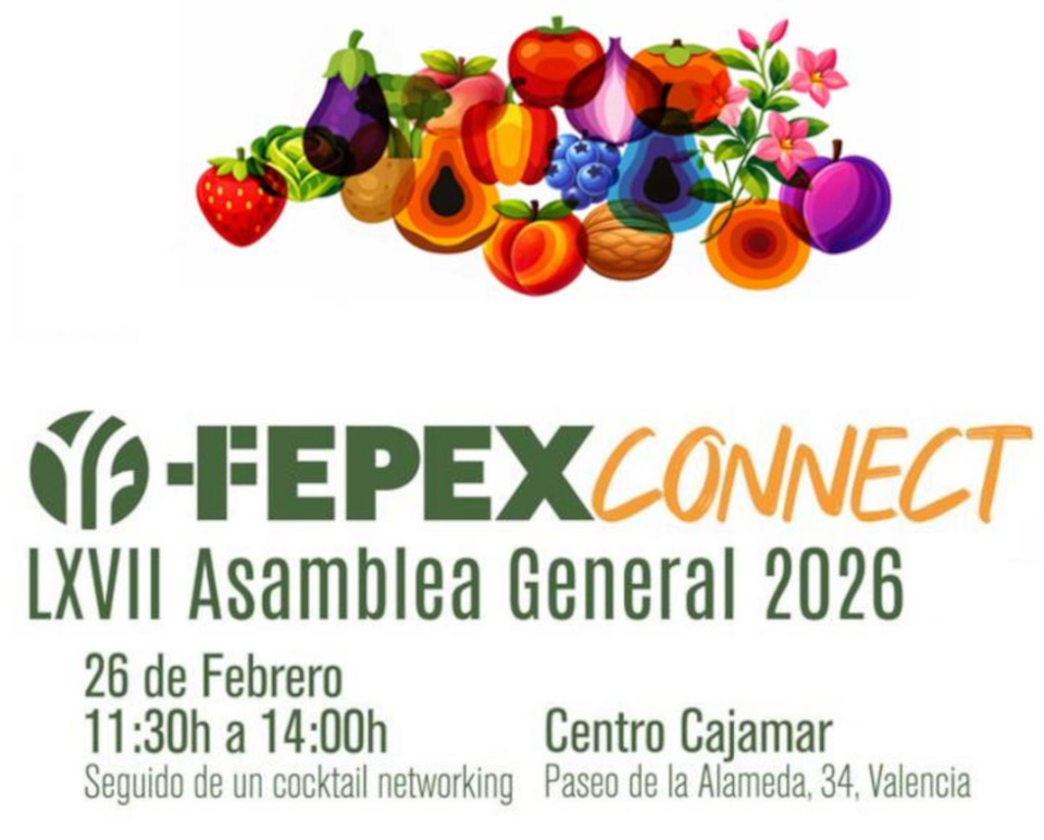 FEPEX analiza en Valencia el futuro del sector hortofrutícola ante la nueva PAC y la competencia de terceros países
