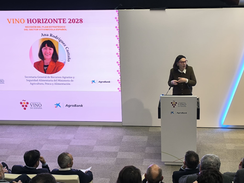 Ana Rodríguez subraya que los acuerdos de la Unión Europea con Mercosur, India e Indonesia impulsarán la diversificación y la competitividad del sector vitivinícola. Ana Rodríguez subraya que los acuerdos de la Unión Europea con Mercosur, India e Indonesia impulsarán la diversificación y la competitividad del sector vitivinícola.