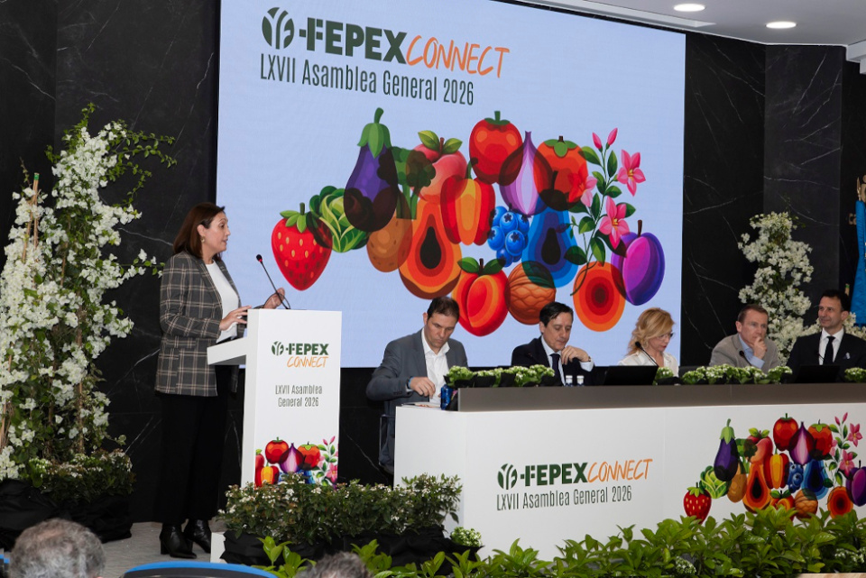 Mesa redonda, Asamblea FEPEX en Valencia.