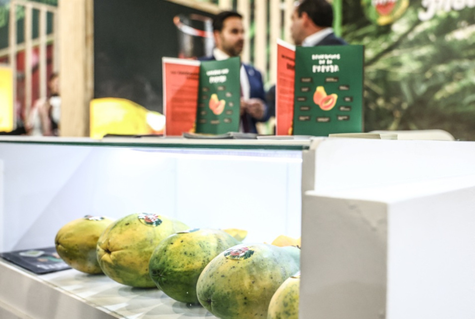 Canarias impulsa sus exportaciones hortofrut&iacute;colas en Fruit Logistica Berl&iacute;n.