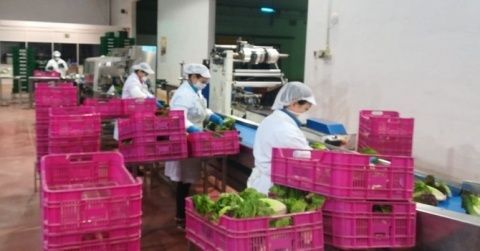 Este protocolo recopila las medidas de prevención que han puesto en marcha distintas empresas asociadas de Proexport.