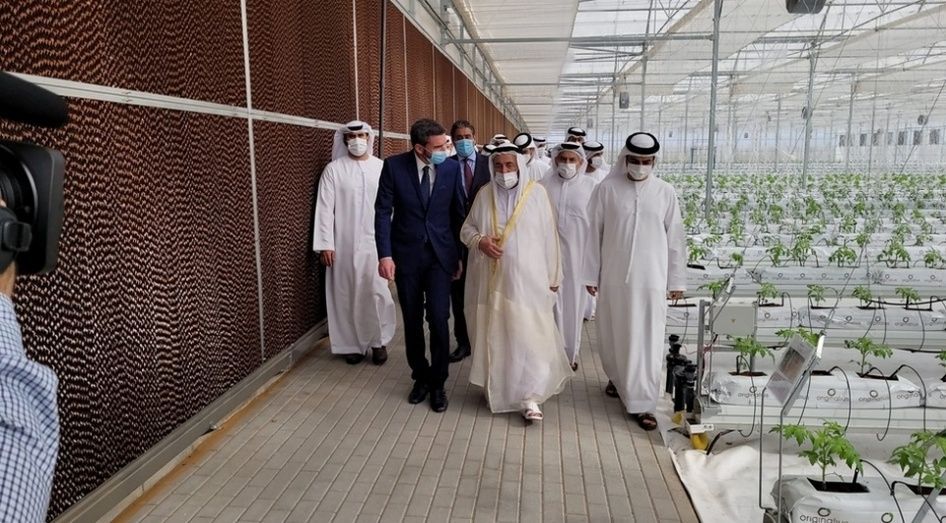 El consejero Antonio Luengo, el jeque Dr. Sultan bin Muhammad Al Qasimi y el director general de Rufepa Technoagro, José Antonio Morales, durante la visita al nuevo invernadero de Sharjah. El consejero Antonio Luengo, el jeque Dr. Sultan bin Muhammad Al Qasimi y el director general de Rufepa Technoagro, José Antonio Morales, durante la visita al nuevo invernadero de Sharjah.