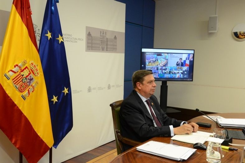 El Ministro español, Luis Planas.