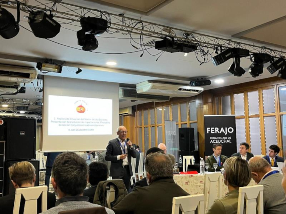 El sector del ajo de España, Francia e Italia exige salvaguardias ante el alza de costes y la presión de China y Egipto