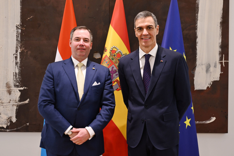 El presidente del Gobierno, Pedro S&aacute;nchez, junto al Gran Duque de Luxemburgo, Guillermo V. | Pool Moncloa/Borja Puig de la Bellacasa