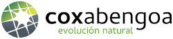 Coxabengoa