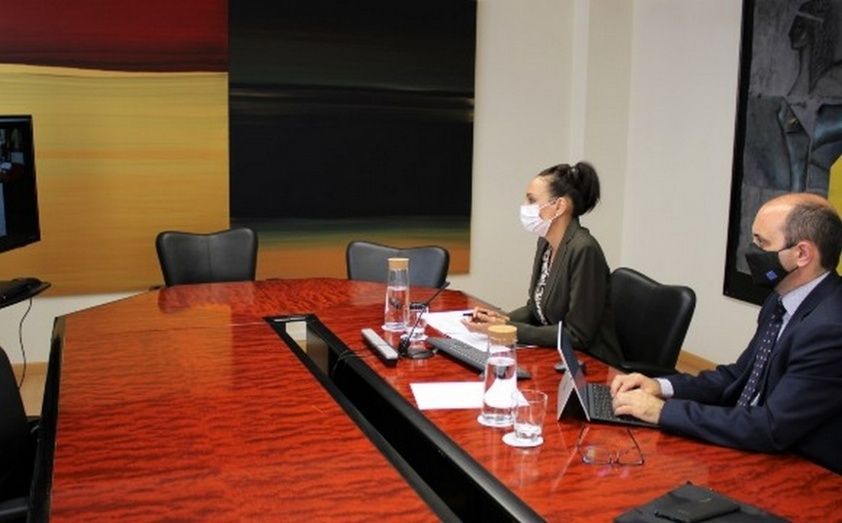La videoconferencia de trabajo.