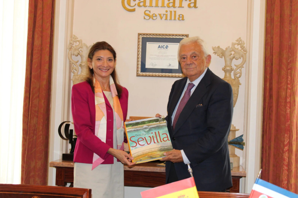 ✅La C&aacute;mara de Comercio Sevilla ha celebrado una jornada empresarial junto a la embajadora de Costa Rica en Espa&ntilde;a, Adriana Bola&ntilde;os (Foto: C&aacute;mara de Comercio de Sevilla, Facebook)
