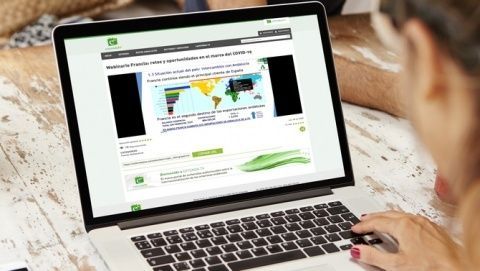 Webinar retos y oportunidades del mercado francés.