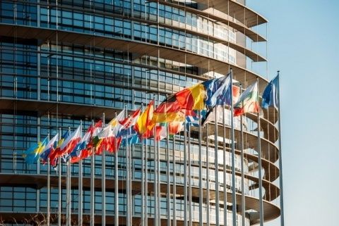 La consulta se puede responder hasta el 15 de septiembre.