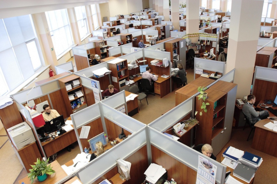 La Directiva relativa a unas condiciones laborales transparentes y previsibles, en vigor desde 2019, busca ofrecer derechos laborales amplios y actualizados.