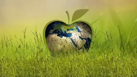 Un nuevo modelo económico inclusivo, integrado y sostenible para la región.