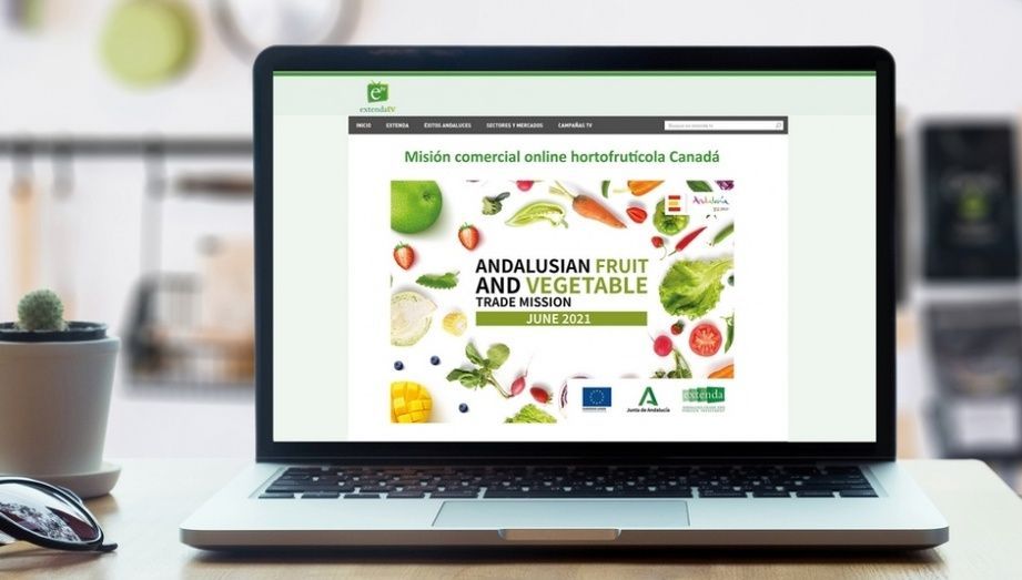 Misión comercial online en la que ha reunido a ocho empresas hortofrutícolas andaluzas con otros tantos importadores de Canadá.