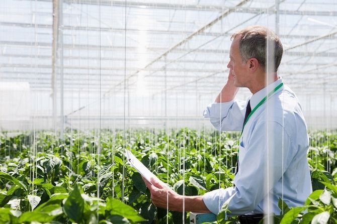 Maravitia nace digitalmente con una potente Responsabilidad Social orientada a promocionar y proteger al peque&ntilde;o productor.