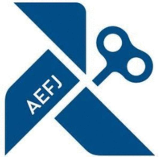 ASOCIACIÓN ESPAÑOLA DE FABRICANTES DE JUGUETES (AEFJ)