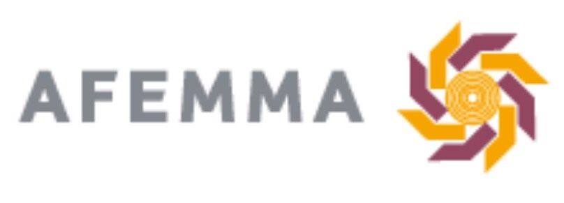 ASOCIACIÓN ESPAÑOLA DE FABRICANTES DE MAQUINARIA PARA TRABAJAR LA MADERA (AFEMMA)