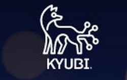 Kyubi System