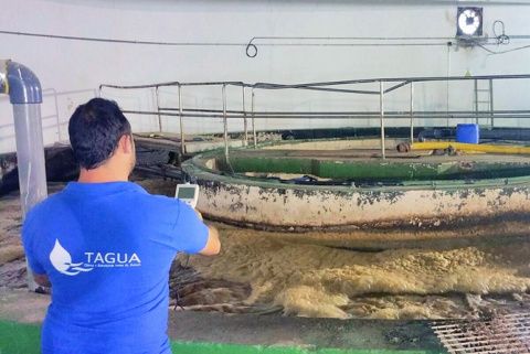 La contaminación de pozos y acuíferos con fluor representa un problema de primer orden en el país africano.