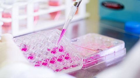 La terapia génica se dirige a enfermedades de origen genético, cáncer, enfermedades raras o parkinson.