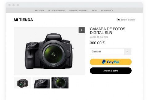 PayPal Checkout.