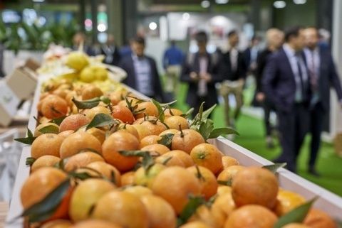 Fruit Attraction, Ifema.