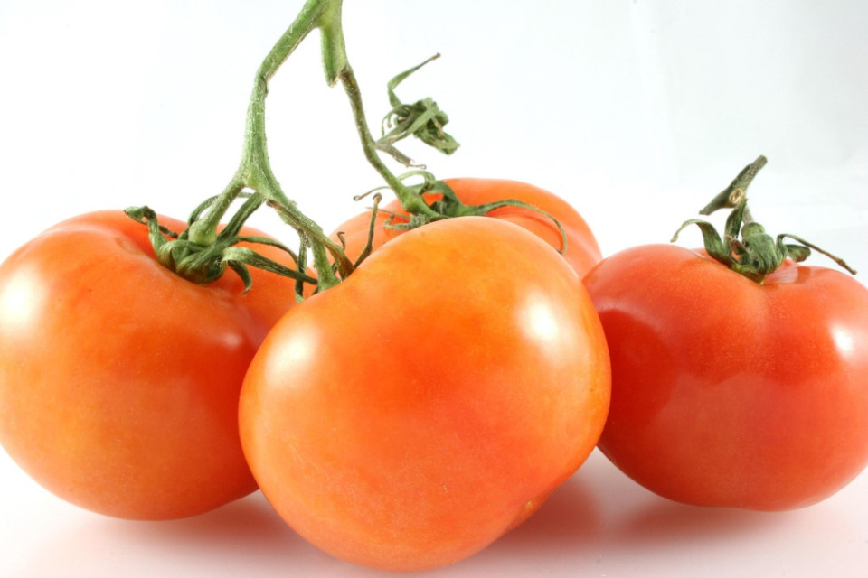 El tomate es la hortaliza más consumida a nivel mundial.
