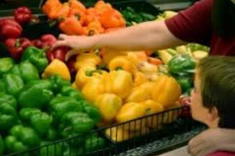Frutas y hortalizas.