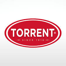 Grupo Torrent