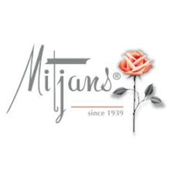 Mitjans
