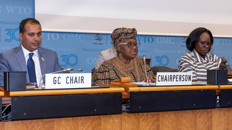 Okonjo-Iweala impulsa la preparación para la CM14 y celebra el apoyo global a la OMC