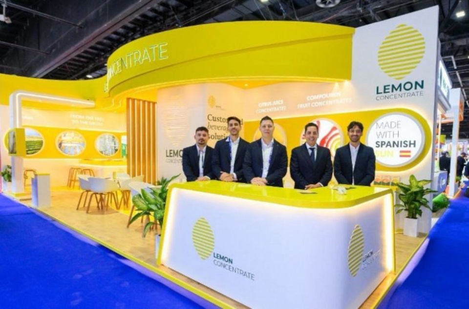 Equipo LemonConcentrate.