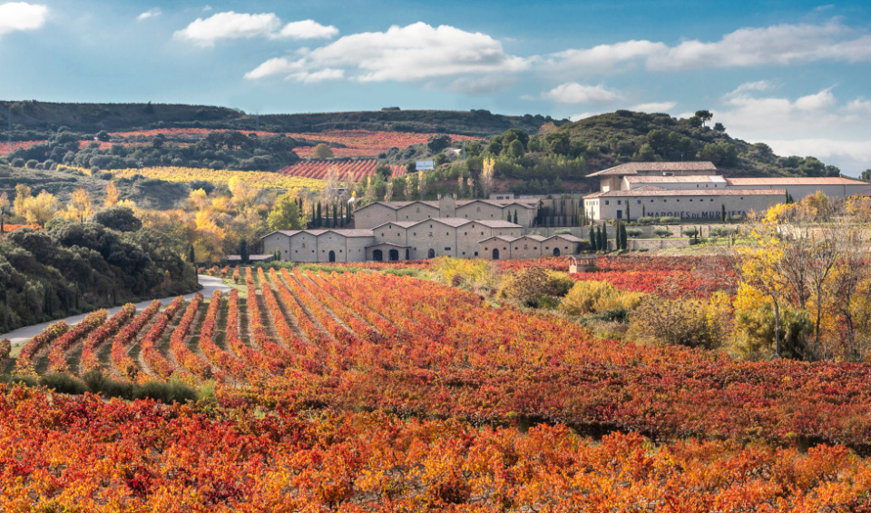 Marqués de Murrieta.