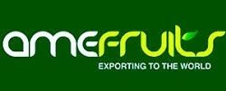 AMEFRUITS