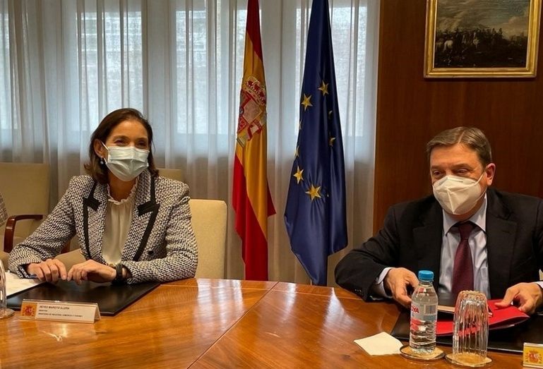 Reunión conjunta del MAPA y Mincotur con la Asociación de Exportadores de Aceitunas de Mesa.