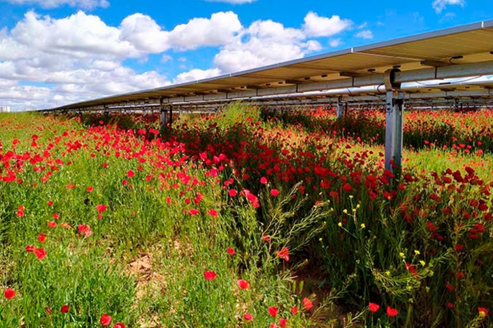 El préstamo se destinará a la construcción de plantas fotovoltaicas de 188 MW en diversas localizaciones, la mayoría de ellas en zonas rurales.