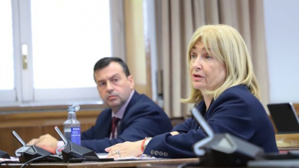 La senadora Cristina Moreno, durante el debate de una iniciativa en Comisión.