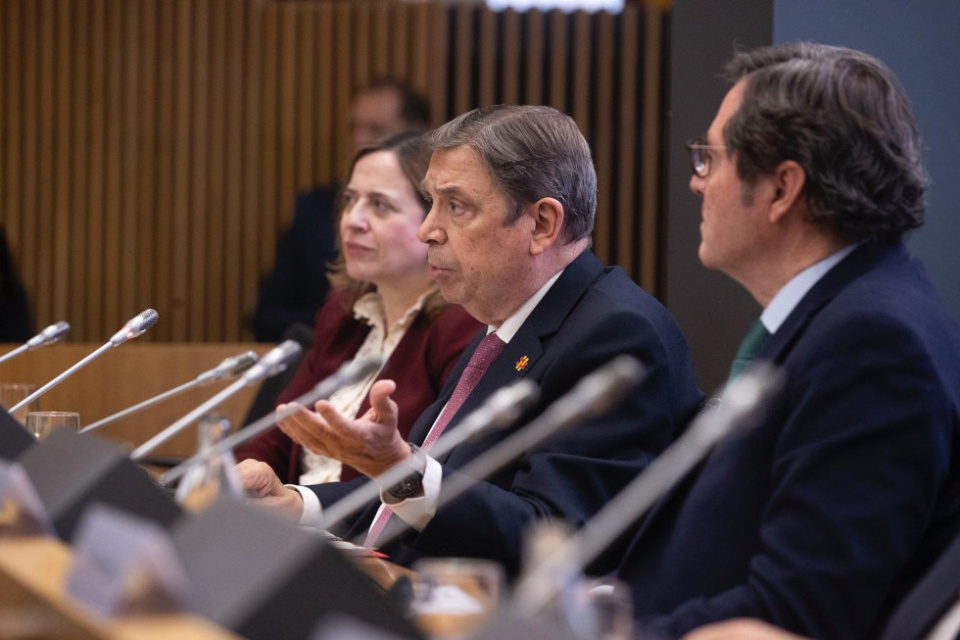 El ministro de Agricultura, Pesca y Alimentación, Luis Planas.